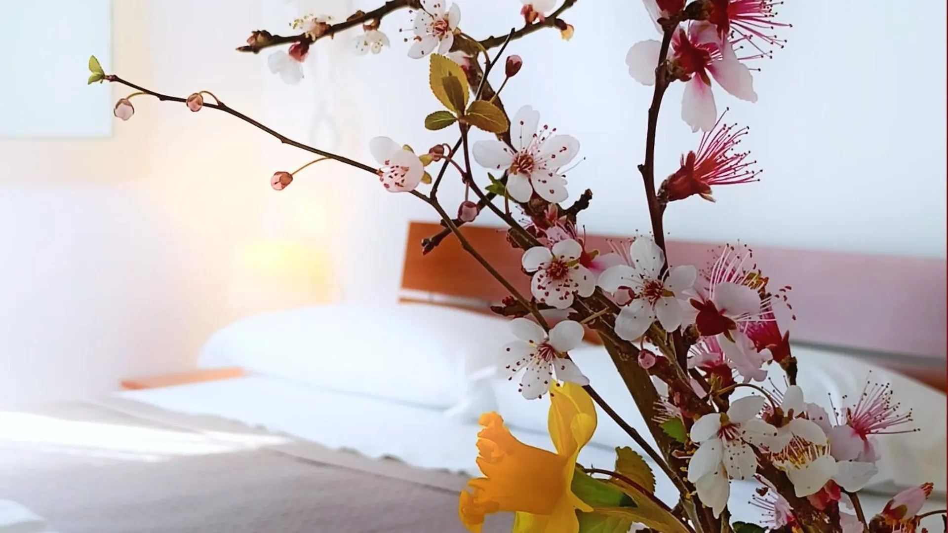 Beeliving Room&Breakfast (Adults Only) Riccione Panzió