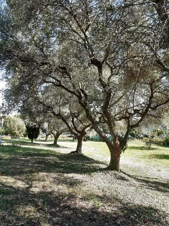 ריצ'יונה Beeliving Room&Breakfast (Adults Only) לינה וארוחת בוקר